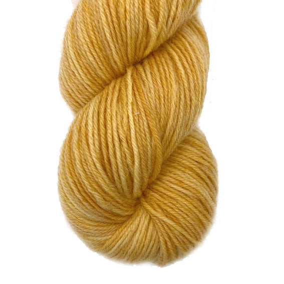 Scoop Apricot