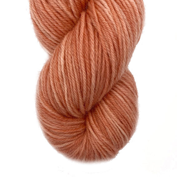 Scoop Cinnamon