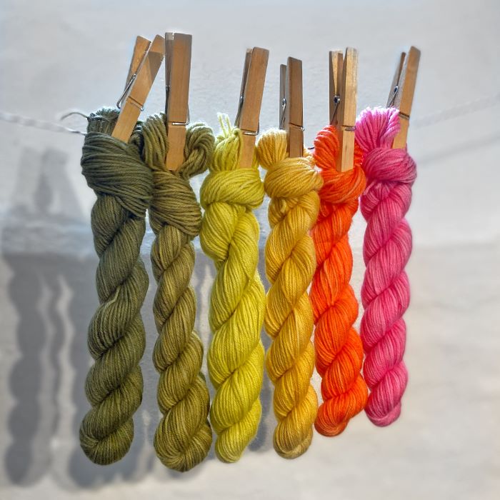 Scoop Bundle Hummingbird