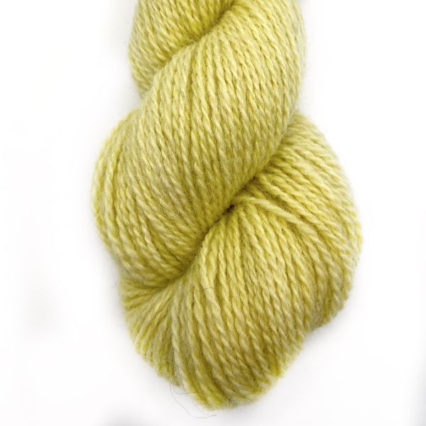 Plantdyed Wool 006