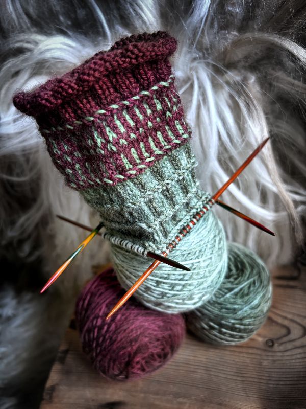 Tyra Socks knit kit